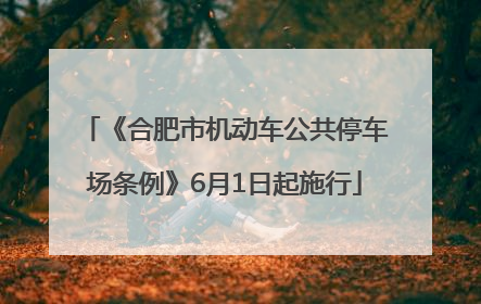 《合肥市机动车公共停车场条例》6月1日起施行