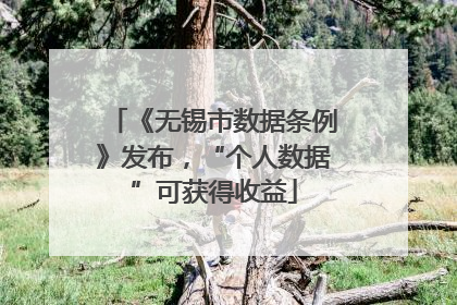 《无锡市数据条例》发布，“个人数据”可获得收益