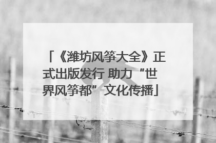 《潍坊风筝大全》正式出版发行 助力“世界风筝都”文化传播