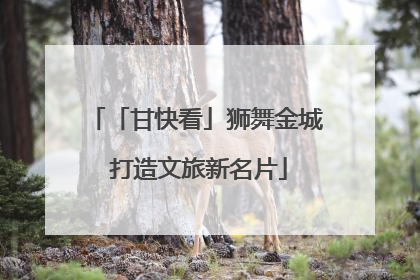 「甘快看」狮舞金城 打造文旅新名片