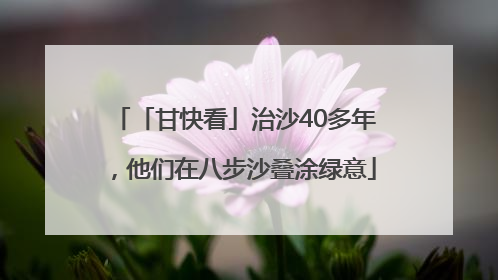 「甘快看」治沙40多年，他们在八步沙叠涂绿意