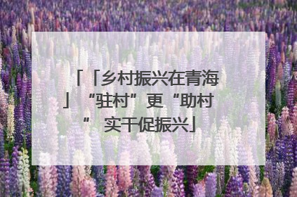 「乡村振兴在青海」“驻村”更“助村” 实干促振兴