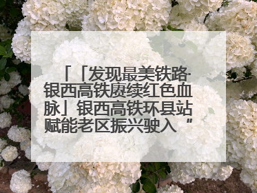 「发现最美铁路·银西高铁赓续红色血脉」银西高铁环县站赋能老区振兴驶入“快车道”