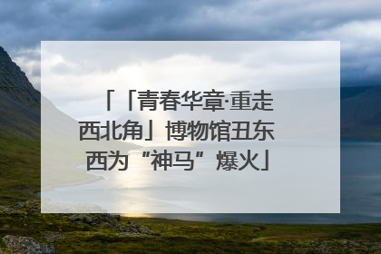 「青春华章·重走西北角」博物馆丑东西为“神马”爆火