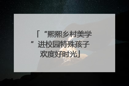 “熙熙乡村美学”进校园特殊孩子欢度好时光
