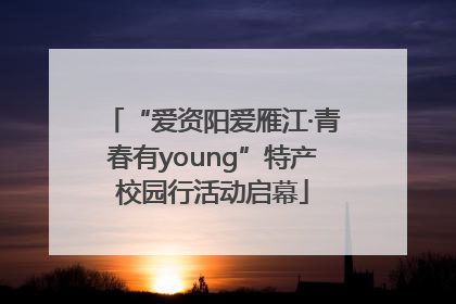 “爱资阳爱雁江·青春有young”特产校园行活动启幕