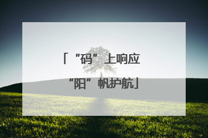 “码”上响应 “阳”帆护航