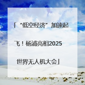 “低空经济”加速起飞！杨浦亮相2025世界无人机大会