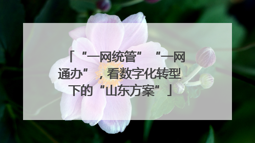 “一网统管”“一网通办”，看数字化转型下的“山东方案”