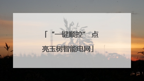 “一键顺控” 点亮玉树智能电网