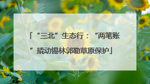 “三北”生态行：“两笔账”撬动锡林郭勒草原保护