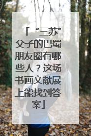 “三苏”父子的巴蜀朋友圈有哪些人？这场书画文献展上能找到答案