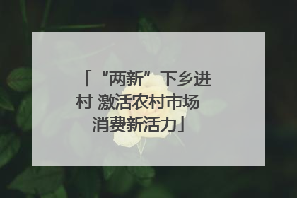 “两新”下乡进村 激活农村市场消费新活力