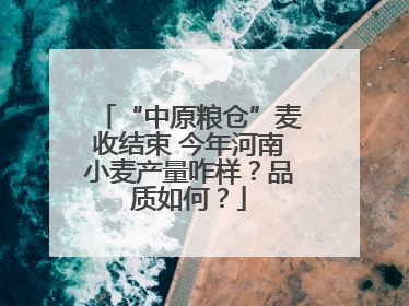 “中原粮仓”麦收结束 今年河南小麦产量咋样？品质如何？