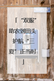 “双服”助农到田头 护航“三夏”正当时