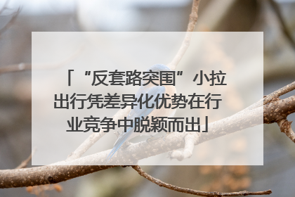 “反套路突围”小拉出行凭差异化优势在行业竞争中脱颖而出