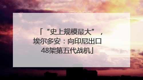 “史上规模最大”，埃尔多安：向印尼出口48架第五代战机