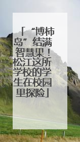 “博柿岛”结满智慧果！松江这所学校的学生在校园里探险