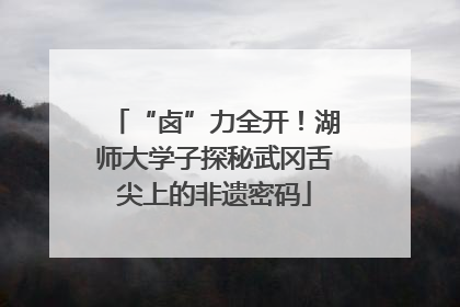 “卤”力全开！湖师大学子探秘武冈舌尖上的非遗密码