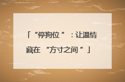 “停狗位 ”：让温情藏在 “方寸之间 ”