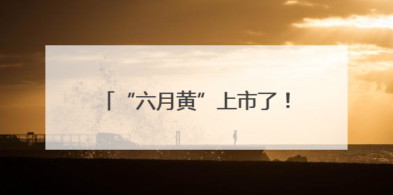 “六月黄”上市了！超小只的可按斤买