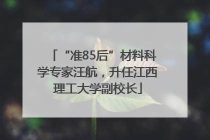 “准85后”材料科学专家汪航，升任江西理工大学副校长