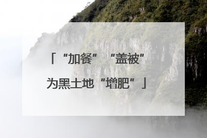 “加餐”“盖被” 为黑土地“增肥”