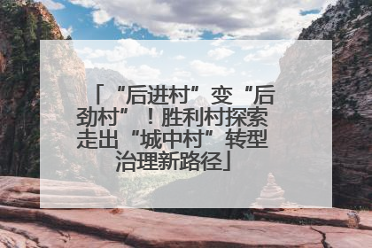 “后进村”变“后劲村”！胜利村探索走出“城中村”转型治理新路径