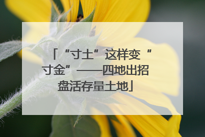 “寸土”这样变“寸金”——四地出招盘活存量土地