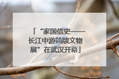 “家国信史——长江中游简牍文物展”在武汉开幕