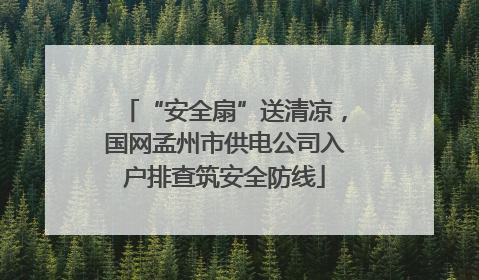 “安全扇”送清凉，国网孟州市供电公司入户排查筑安全防线