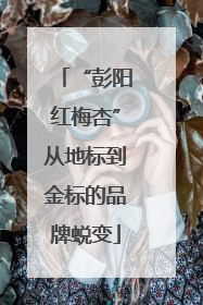 “彭阳红梅杏”从地标到金标的品牌蜕变