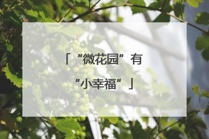 “微花园”有“小幸福”