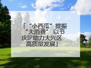 “小西瓜”提振“大消费” 以节庆IP助力大兴区高质量发展