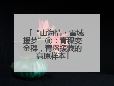 “山海情・雪域援梦”⑧：青稞变金稞，青岛援藏的高原样本