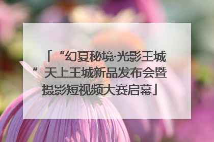 “幻夏秘境·光影王城”天上王城新品发布会暨摄影短视频大赛启幕