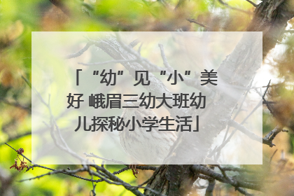 “幼”见“小”美好 峨眉三幼大班幼儿探秘小学生活