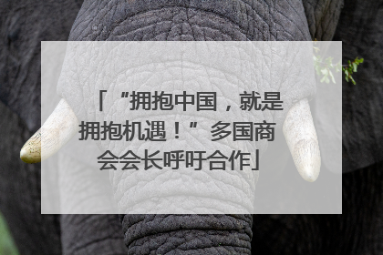 “拥抱中国，就是拥抱机遇！”多国商会会长呼吁合作