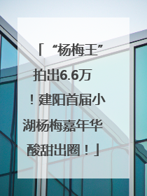 “杨梅王”拍出6.6万！建阳首届小湖杨梅嘉年华酸甜出圈！
