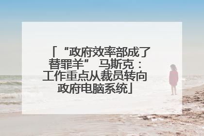 “政府效率部成了替罪羊” 马斯克：工作重点从裁员转向政府电脑系统