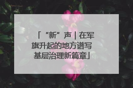 “新”声｜在军旗升起的地方谱写基层治理新篇章