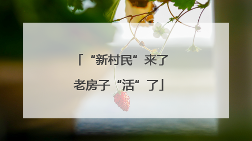 “新村民”来了 老房子“活”了
