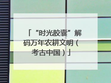 “时光胶囊”解码万年农耕文明（考古中国）