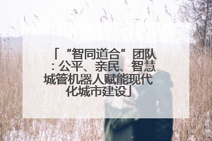“智同道合”团队：公平、亲民、智慧城管机器人赋能现代化城市建设