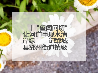 “望闻问切”让河道重现水清岸绿——记郓城县郓州街道镇级河长孟泓辰