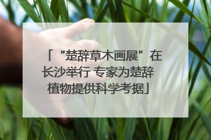 “楚辞草木画展”在长沙举行 专家为楚辞植物提供科学考据