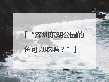 “深圳东湖公园的鱼可以吃吗？”