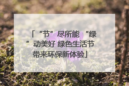 “节”尽所能 “绿”动美好 绿色生活节带来环保新体验