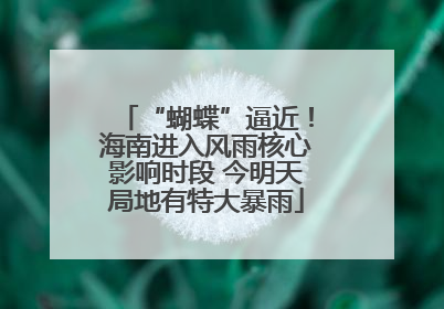 “蝴蝶”逼近！海南进入风雨核心影响时段 今明天局地有特大暴雨