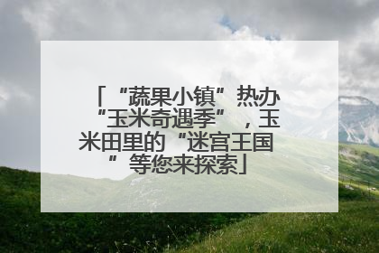 “蔬果小镇”热办“玉米奇遇季”，玉米田里的“迷宫王国”等您来探索